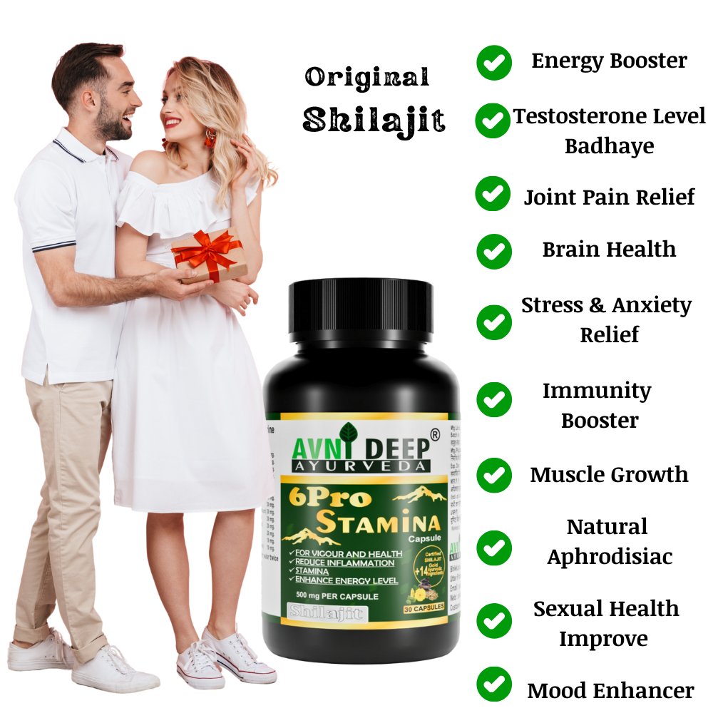 Avnideep Pure Shilajit Capsules – Ayurvedic Wellness Support | 30 Capsules
