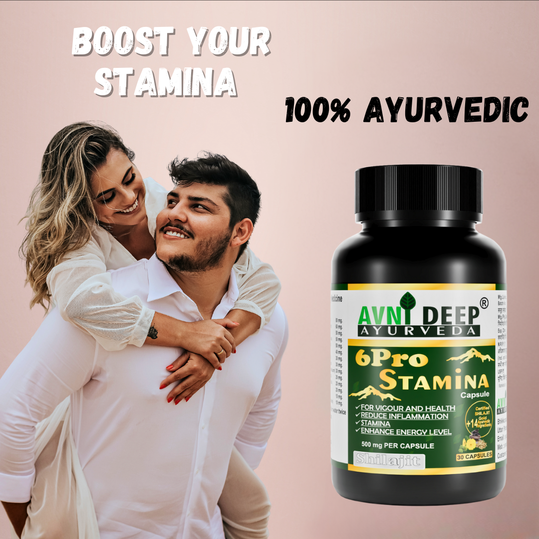 Avnideep Pure Shilajit Capsules – Ayurvedic Wellness Support | 30 Capsules