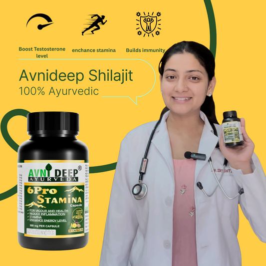 Avnideep Pure Shilajit Capsules – Ayurvedic Wellness Support | 30 Capsules
