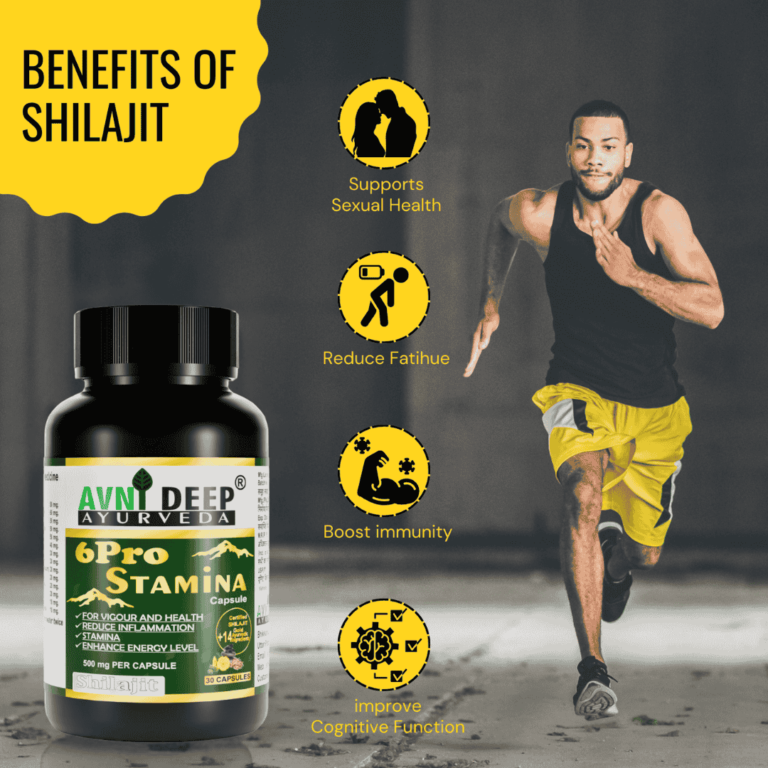 Avnideep Pure Shilajit Capsules – Ayurvedic Wellness Support | 30 Capsules