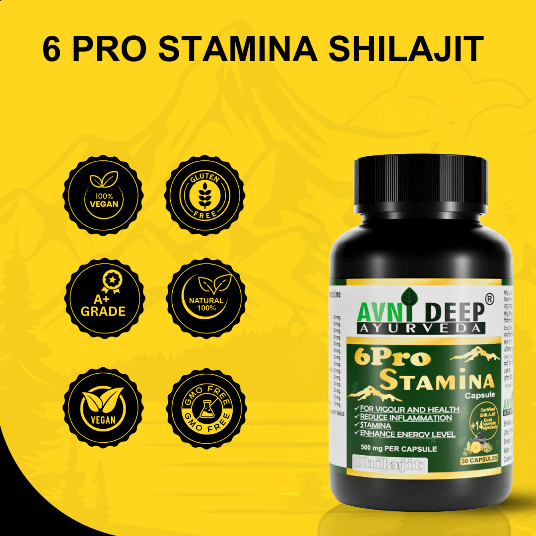 Avnideep Pure Shilajit Capsules – Ayurvedic Wellness Support | 30 Capsules