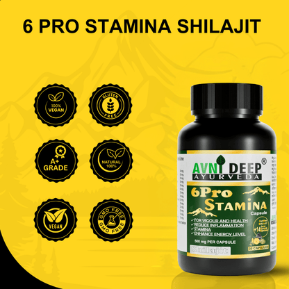 Avnideep Pure Shilajit Capsules – Ayurvedic Wellness Support | 30 Capsules