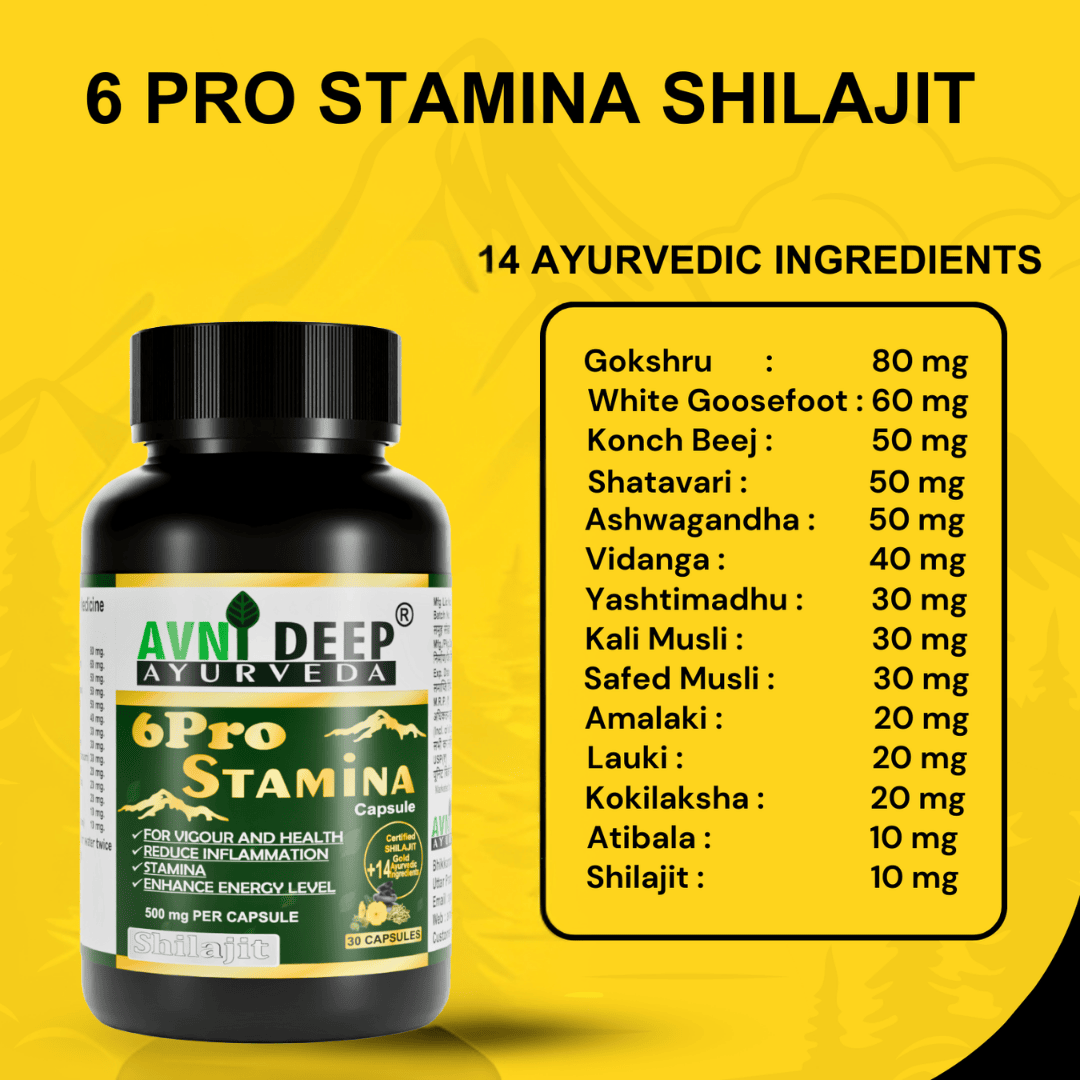 Avnideep Pure Shilajit Capsules – Ayurvedic Wellness Support | 30 Capsules