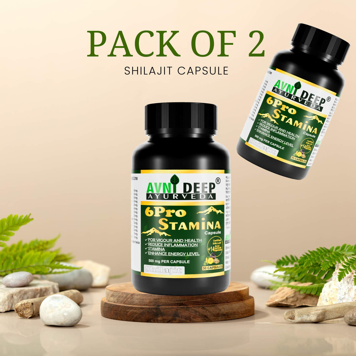 Avnideep Pure Shilajit Capsules – Ayurvedic Wellness Support | 30 Capsules