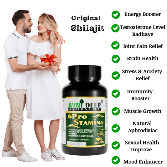 Avnideep Pure Shilajit Capsules – Ayurvedic Wellness Support | 30 Capsules